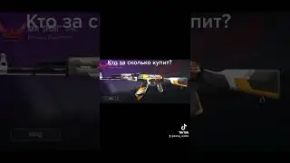 было лень писать взял со своего ТТ кто за скок купит? #лучший #со2 #стендофф2