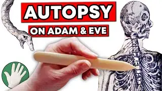 Autopsy on Adam & Eve - Objectivity 256