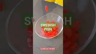 Eat or Pass? 🐟🍬 