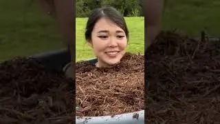 ExtraEmily Finds NEW Twitch Meta ✨ |CPG 