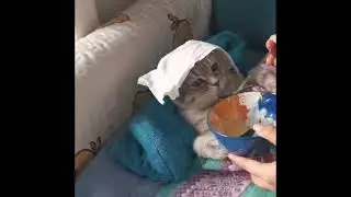 caps, komik, mizah, sürprizler, komik şaka, gülümseme, düşündürücü, şaka, komedi videosu, sosyal,