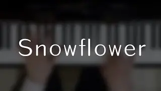Erik McClure - Snowflower (Piano Cover)