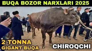 Gigant BUQA..! CHIROQCHI MOL BOZORI NARXLARI 12.03.2025 Чирокчи мол бозори нархлари 2025