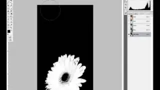 La flor enfocada y la chica borrosa