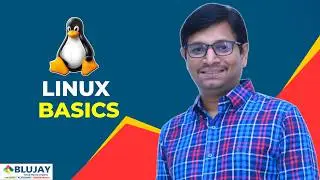 New to Linux? Learn the Basics Step-by-Step