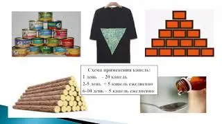 Арифметическая и геометрическая прогрессии