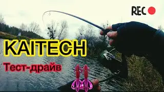 Щука с берега 2023 #щука #хищник #спиннинг #силикон #приманка #kaitech #рыбалка #осень2023 #киев