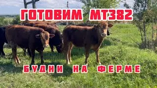 Будни на ферме. Готовимся к сенокосу