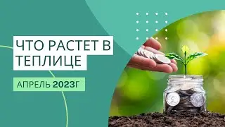 Украина Что растет в теплице апрель 2023