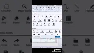 Easily Customize Your Snagit Toolbar to Save Time & Effort!