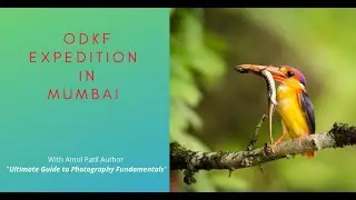 Odkf expedition in Mumbai
