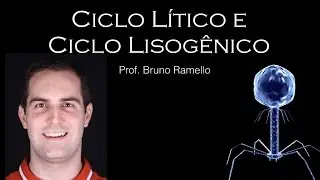 Reprodução dos Bacteriófago - Ciclo Lítico e Lisogênico - YES Biologia com Prof. Bruno Ramello
