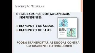 EXCREÇÃO DE FÁRMACOS