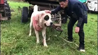 Туркмен Кала Кириш. Отец Санжара