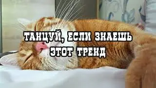 💓 ТАНЦУЙ ЕСЛИ ЗНАЕШЬ ЭТОТ ТРЕНД 2023 ГОДА 💓