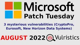 3 mysterious vulnerabilities (CryptoPro, Eurosoft, New Horizon Data Systems)