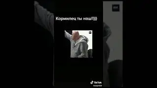 Ненужные кормильцы