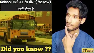 स्कूल बसों का रंग पीला क्यों होता है, why School Busses colour are yellow,#Short,Devdeep ,Facts