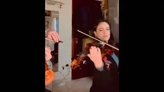 String Quartet in Bologna Italy - Live Wedding Ceremony Music