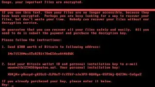 Malware Analysis - Getting Started with High-Level Petna / Petya