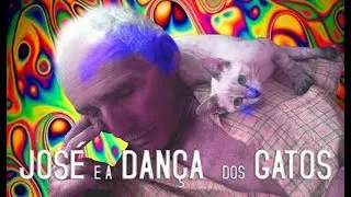 José e a Dança dos Gatos