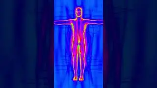 Thermal Imaging: 2 Facts & A Fiction