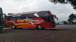Bus Golden Star Pariwisata Parkir di Pusat Oleh-oleh Brawijaya Malang