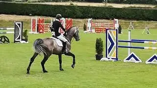 Ice Man 5yo RDS Qualifier @ Barnadown