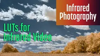 LUTs for Infrared Video and Photography