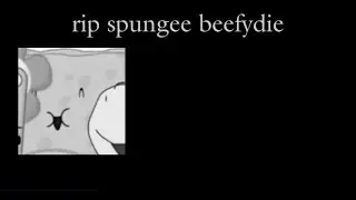 Spongy dies