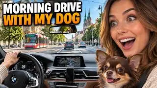 Is This the Perfect Morning Routine? | BMW POV Drive with My Dog in Olomouc