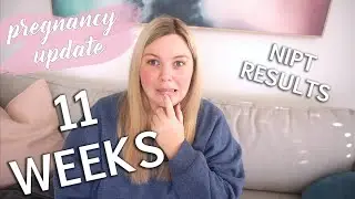 11 Week Pregnancy Update - NIPT Results