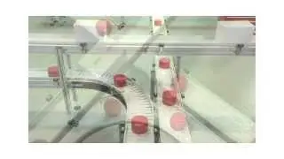 Euroflex Image