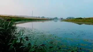 Рыбалка на реке Колокша. Долгожданный карп