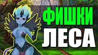 Фишка с Лесом. Венга Дота 2.