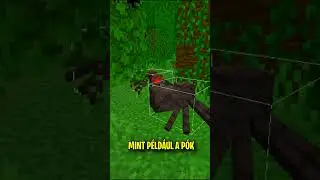 a legjobb legrosszabb ajtó a minecraftban