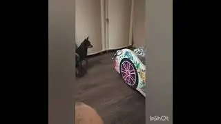 Труляля и Траляля