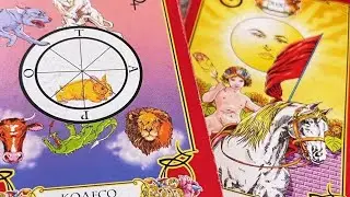 🎀 В ЧОМУ ЗАРАЗ ТВОЯ СИЛА⁉️#sofiamarkina #tarot #gadanie #таро #картанадень #софиятаро #гадание