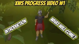 Xws Zerker Progress video #1 - Introduction of all accounts!