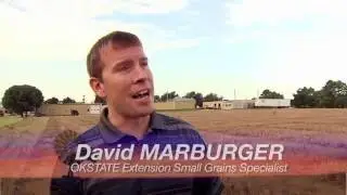SUNUP Full Show (8/06/16)