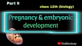 Human reproduction part 9। Pregnancy and embryonic development