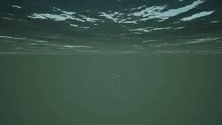 Free Stock Videos - underwater scene with a few fish swimming and sea surface above 3D animation