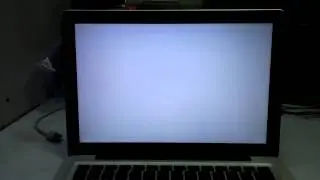 Apple Macbook White Screen Problem [1/2]