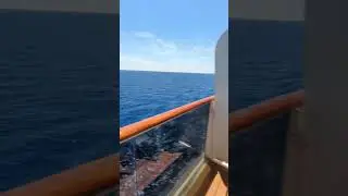 😎🚢 #ocean #reels #summer #video #summer #family #water #fyp