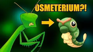 Você sabe o que é OSMETÉRIO?