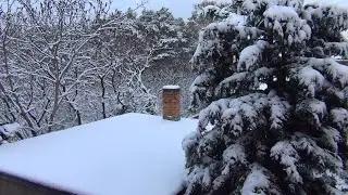 Surviving Winter 2023/2024 Part 1.