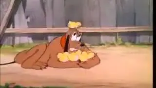 Джуджаларим