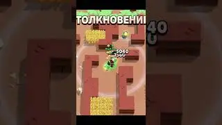 Тестируем Лили в шд