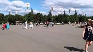 101 0069
