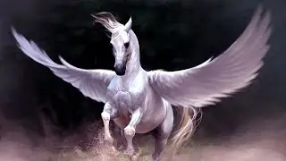 Полеты на лошади в SKYRIM 😂